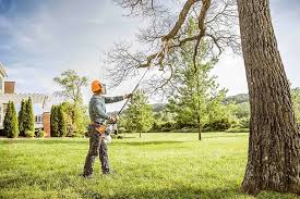 Best Leaf Removal  in Independence, WI