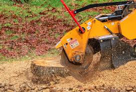 Best Lawn Watering Services  in Independence, WI
